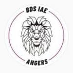 Logo BDS IAE Angers