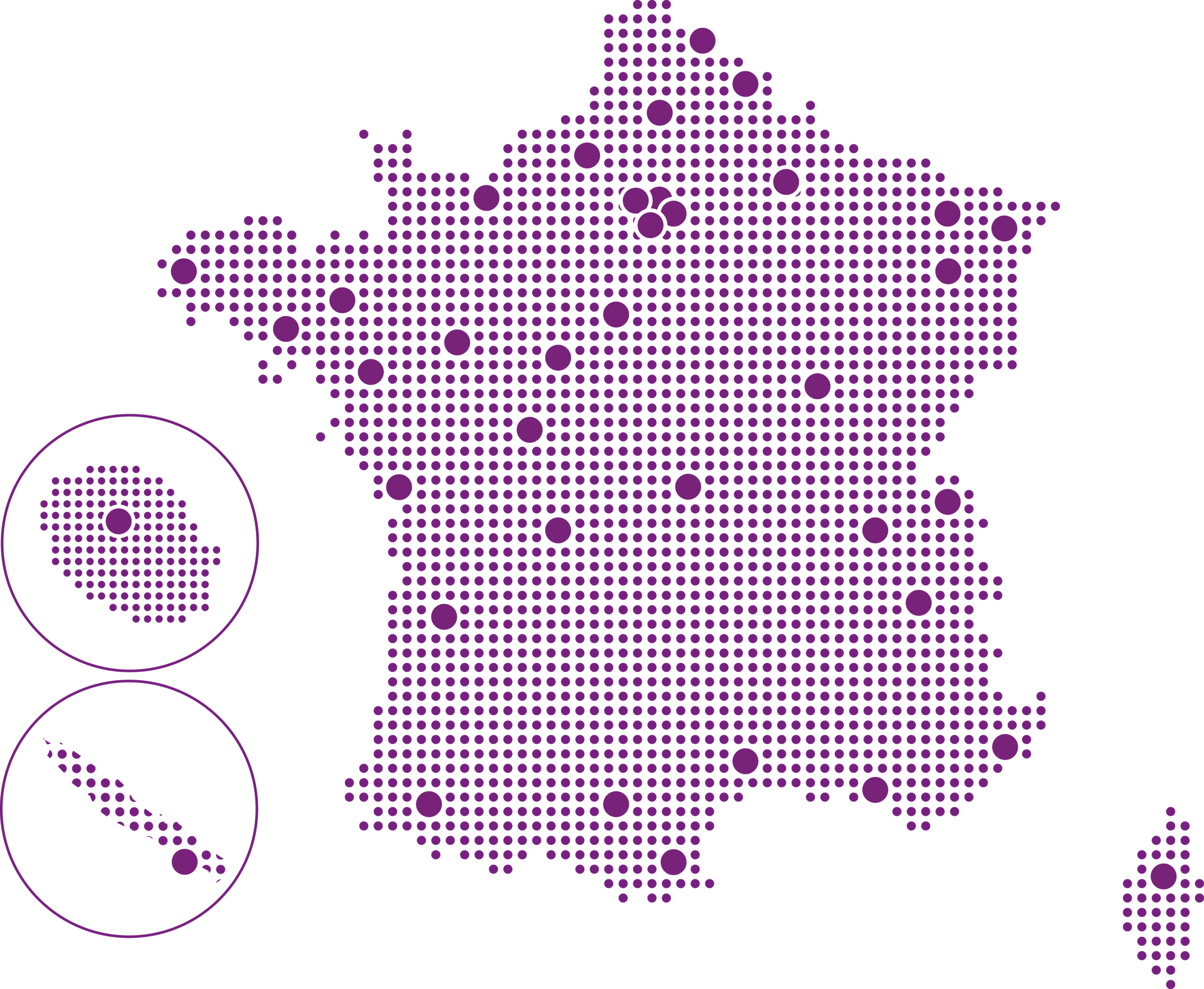 France IAE